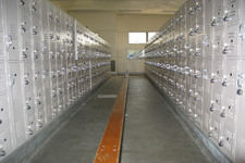 Enlarge photo 51