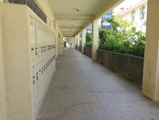 Enlarge photo 83