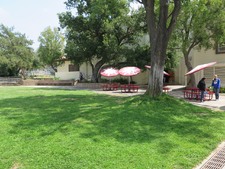 Enlarge photo 133