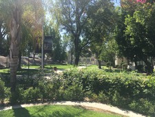 Enlarge photo 158