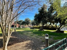 Enlarge photo 131