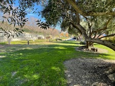 Enlarge photo 132