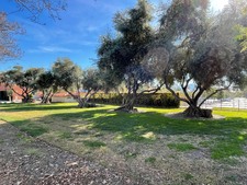 Enlarge photo 134