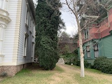 Enlarge photo 8
