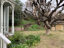 Enlarge photo 151