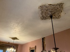 Enlarge photo 246