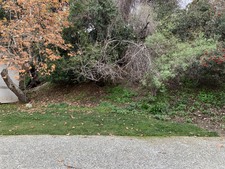 Enlarge photo 294