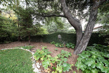 Enlarge photo 71