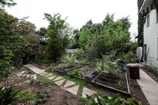 Enlarge photo 84