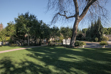 Enlarge photo 64
