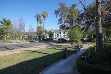Enlarge photo 77