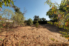 Enlarge photo 94