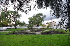 Enlarge photo 74