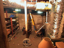 Enlarge photo 30