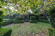 Enlarge photo 67