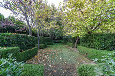 Enlarge photo 68