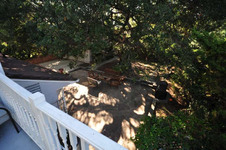 Enlarge photo 59
