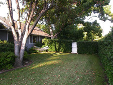Enlarge photo 51