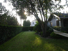 Enlarge photo 52