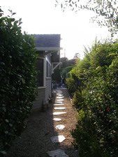 Enlarge photo 77