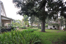Enlarge photo 71