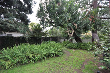 Enlarge photo 74