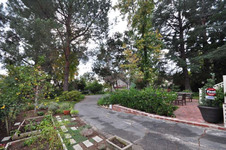 Enlarge photo 91