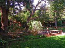 Enlarge photo 37