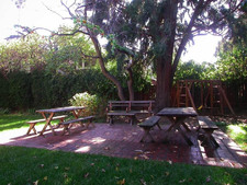 Enlarge photo 48