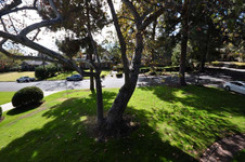 Enlarge photo 45