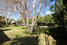 Enlarge photo 106