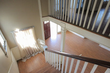 Enlarge photo 155