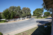 Enlarge photo 160
