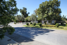 Enlarge photo 170