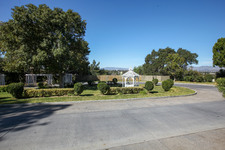 Enlarge photo 171