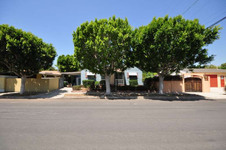Enlarge photo 46