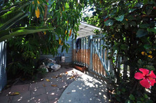 Enlarge photo 57