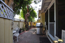 Enlarge photo 61