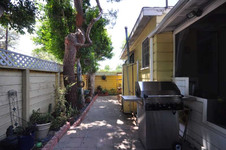 Enlarge photo 62