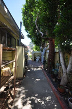 Enlarge photo 67