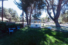 Enlarge photo 56