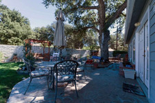 Enlarge photo 61