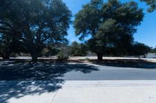 Enlarge photo 67