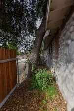 Enlarge photo 37
