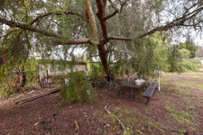 Enlarge photo 39