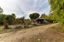 Enlarge photo 45