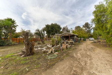 Enlarge photo 49
