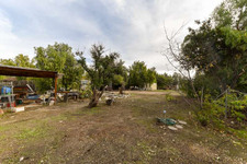 Enlarge photo 50