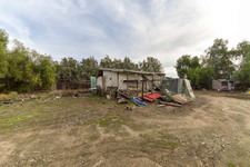 Enlarge photo 55