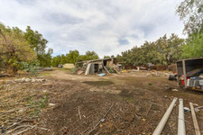 Enlarge photo 57